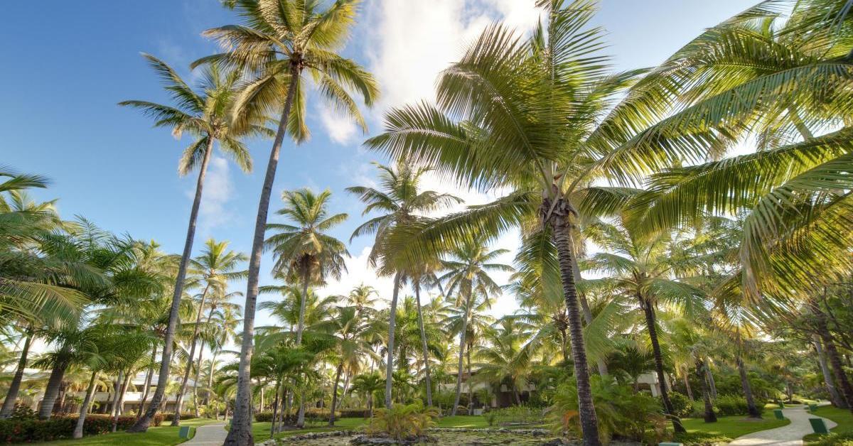 The Level At Melia Caribe Beach (Adults Only) Punta Cana Exteriér fotografie